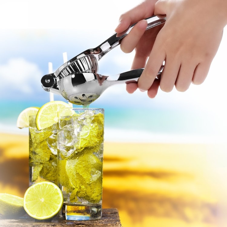 Stainless Steel Lemon Squeezer with Zester Manual Citrus Juicer for Fresh Lemon and Orange Juice