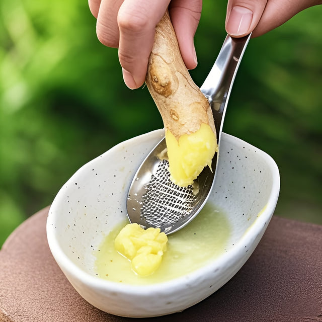 Stainless Steel Grater Spoon for Garlic, Ginger, and Vegetables Premium Kitchen Tool